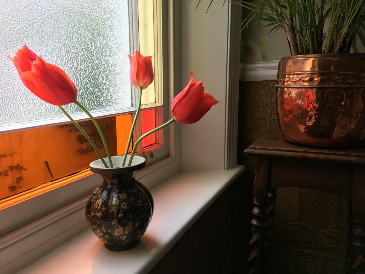 Anne'S House Bed & Breakfast Хейстингс Екстериор снимка